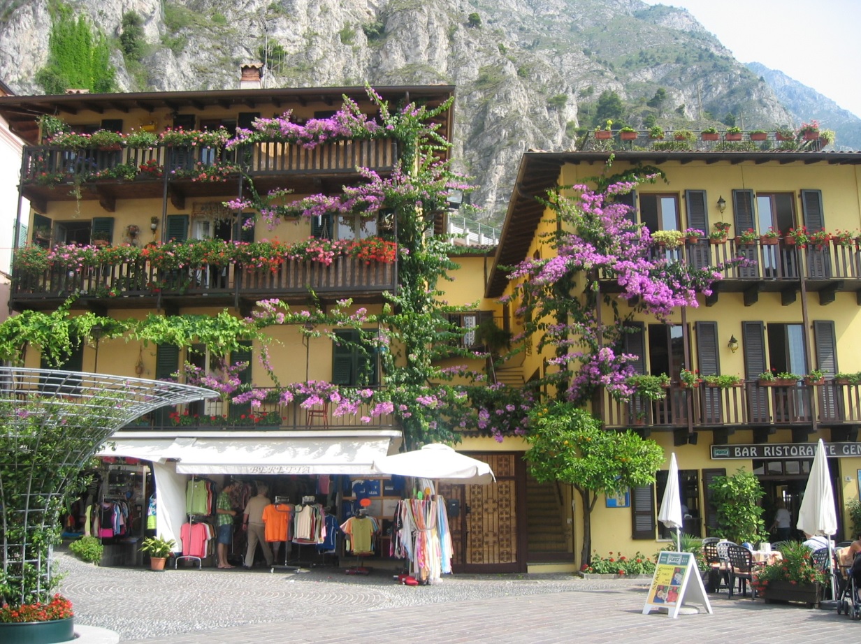Blumen am Lago di Garda